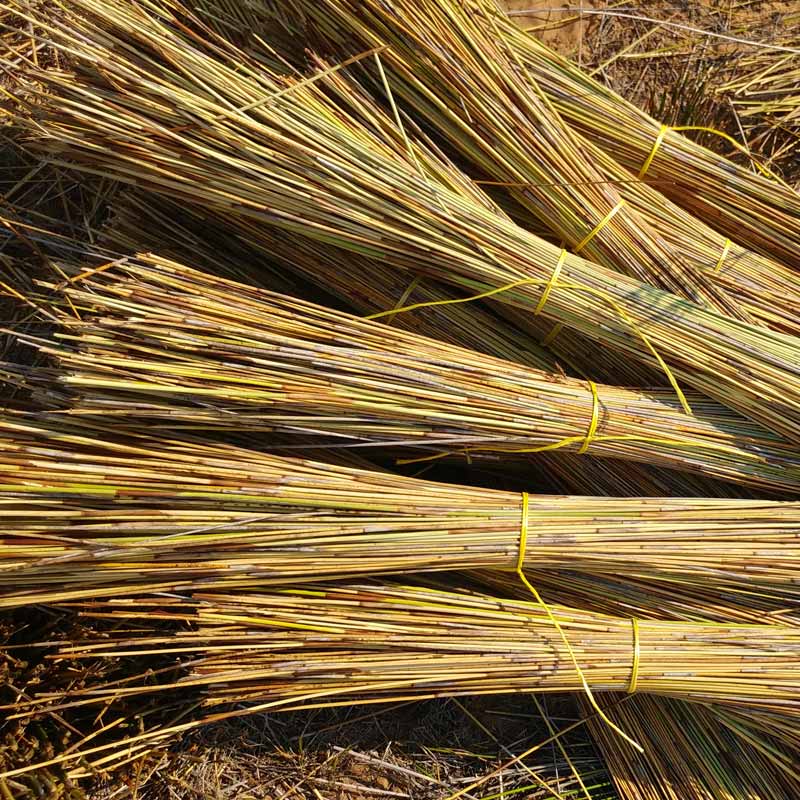 Thatch Bundle image 2