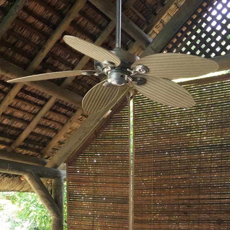 New Bronze Fan – Elements Hunter Exterior image 2