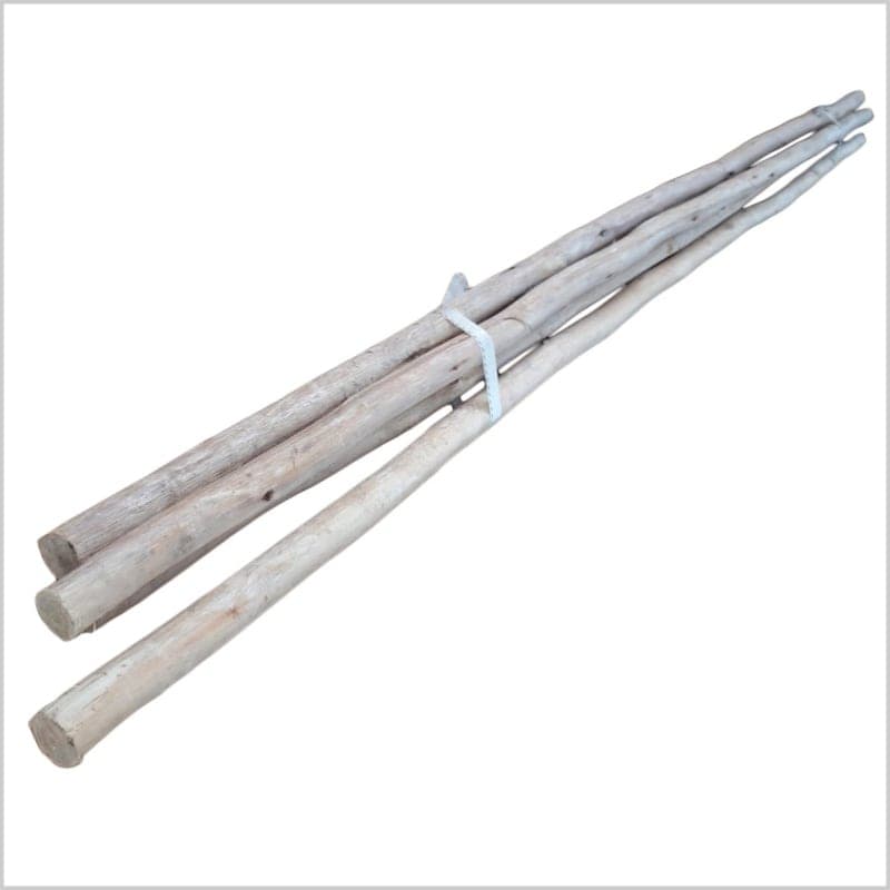 Listón de Eucalipto image 2