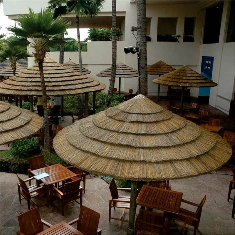 Láminas de junco image 2