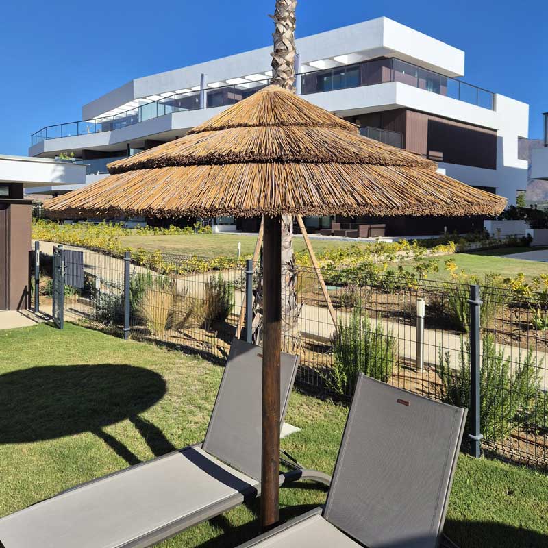 Thatch Umbrellas image 2