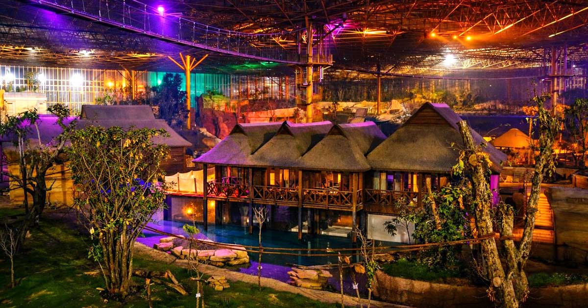 Cape Reed Thatched Roofs at Pairi Daiza