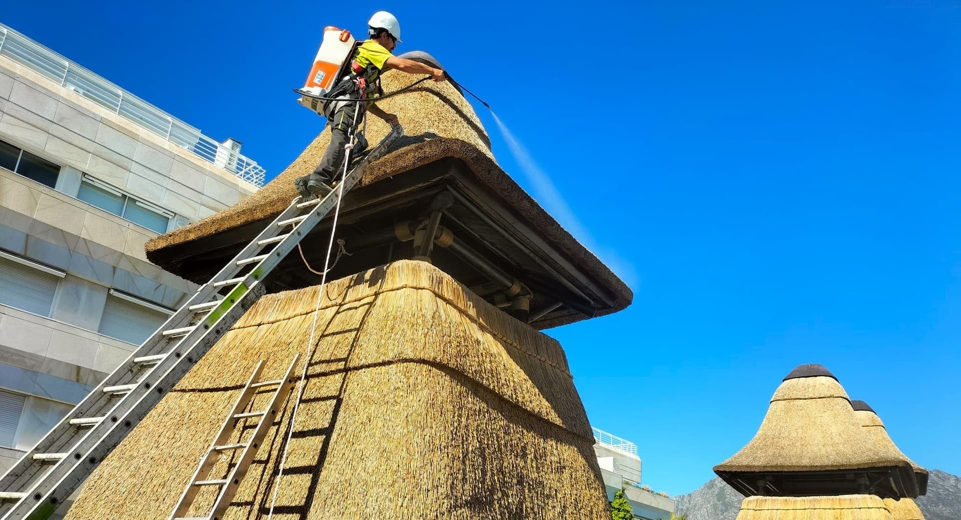 Cape Reed Fireshield Application