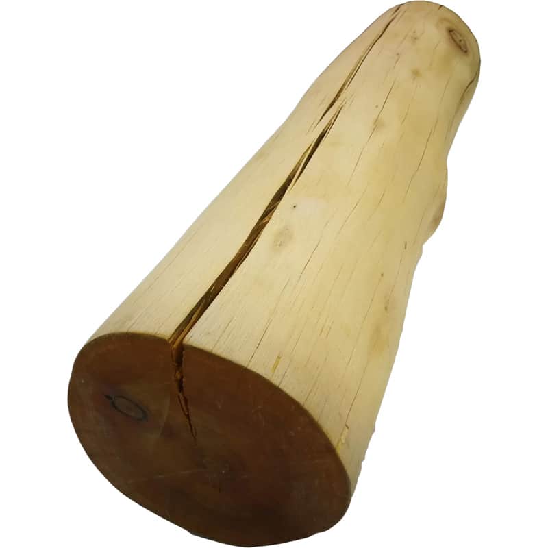Eucalyptus Posts