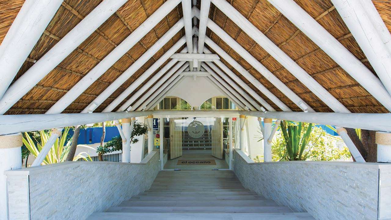 Cape Reed thatch detail